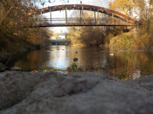 B - P - Radil Tomáš - Most